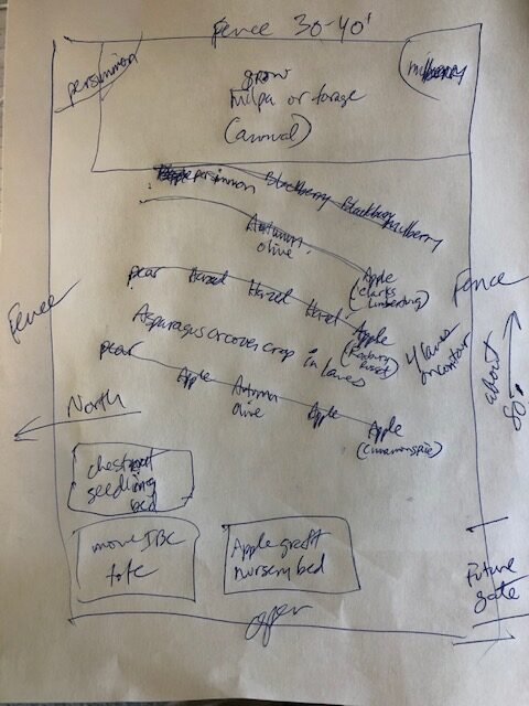 food forest design